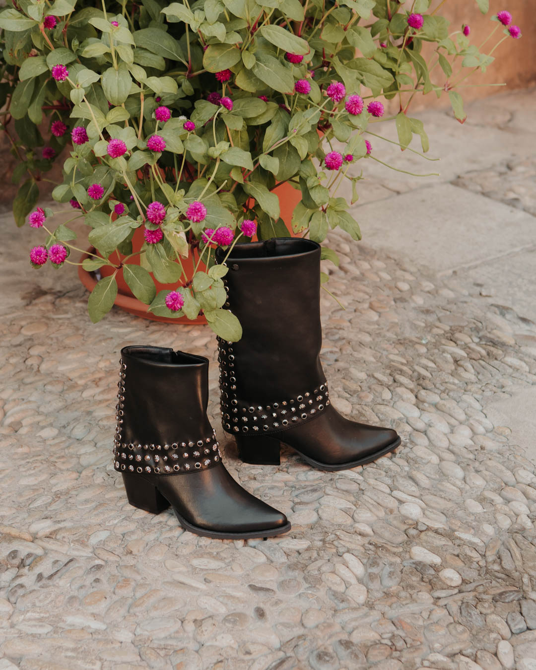 Isteria Shoes Boots aw24