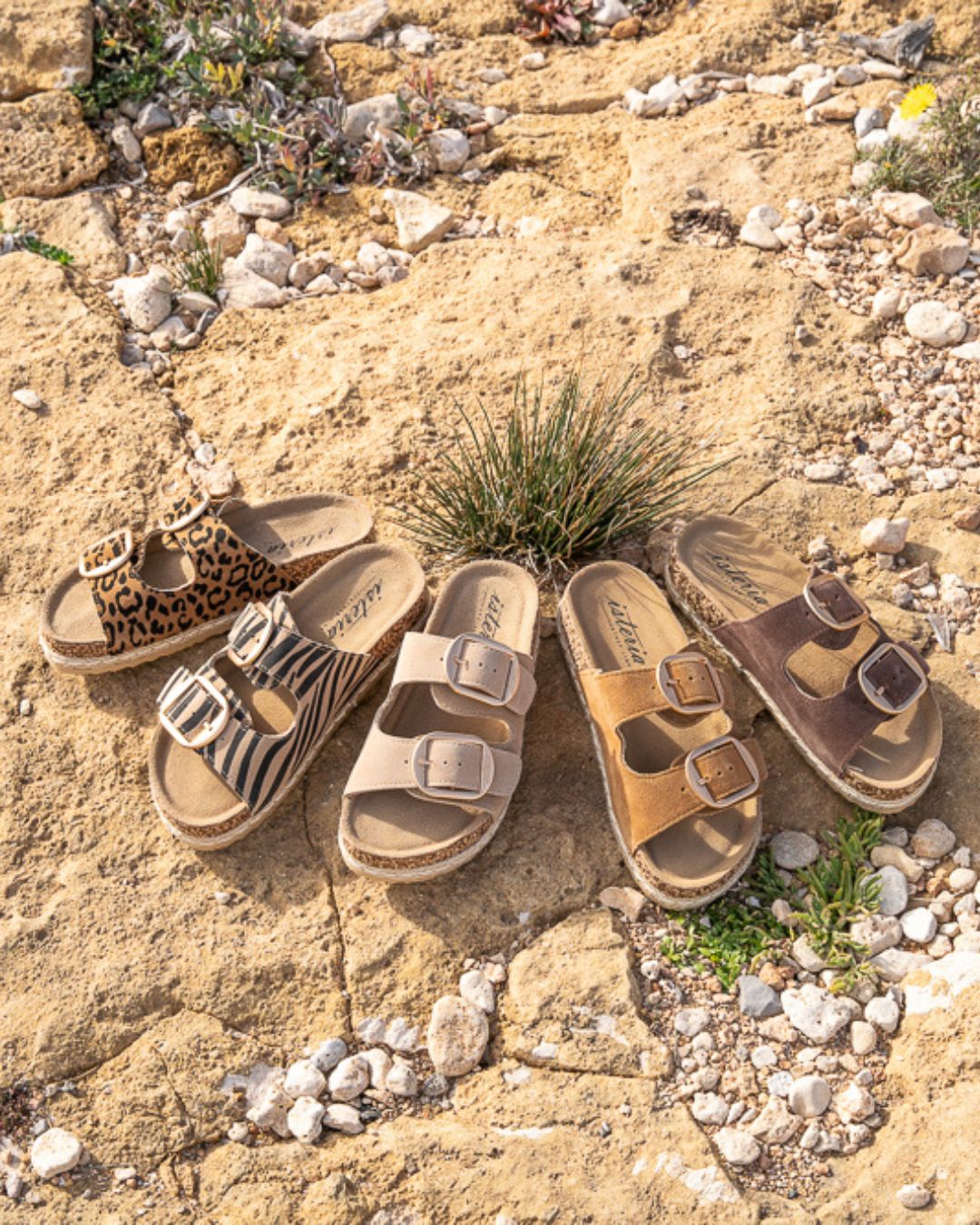 Isteria Leather 2026